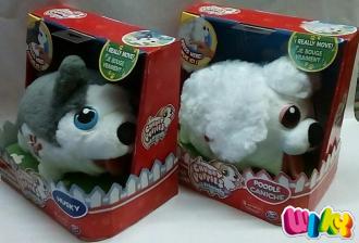Pes Chubby Puppie- 195130